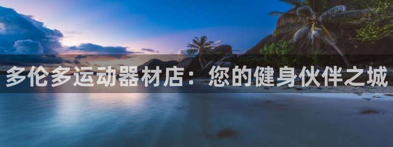 风速体育官网下载招商电话：多伦多运动器材店：您的健身伙伴之城