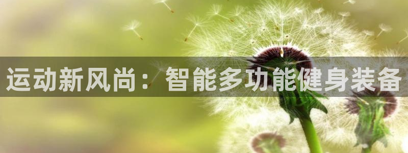 风速官方平台体育：运动新风尚：智能多功能健身装备
