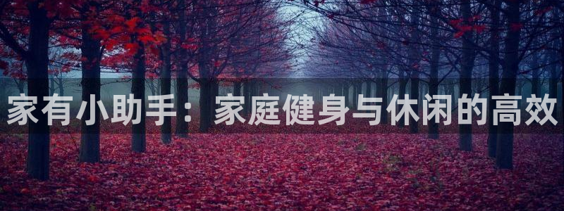 风速体育官方正版app五金厂：家有小助手：家庭健身与休闲的高