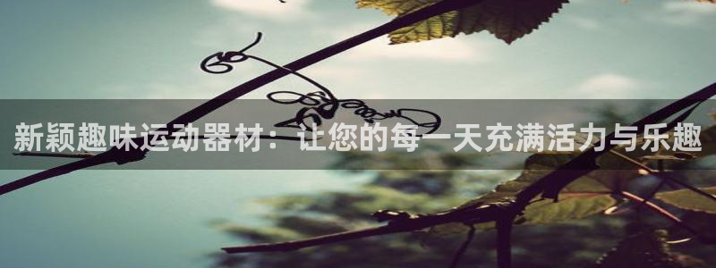 风速体育官方正版app集团官网网址