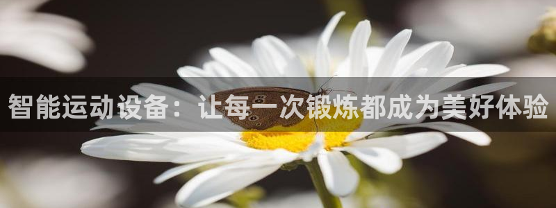 风速体育官网下载开户：智能运动设备：让每一次锻炼都成为美好体