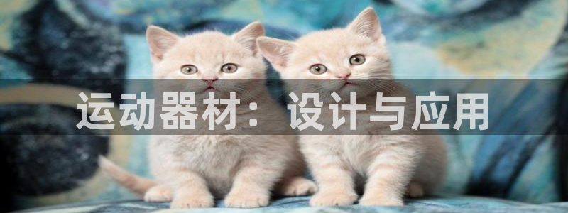 风速体育官方正版app集团logo：运动器材：设计与应用