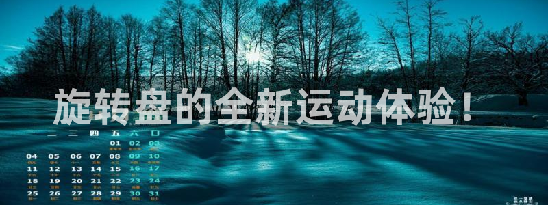 风速体育官网下载是干嘛的公司：旋转盘的全新运动体验！