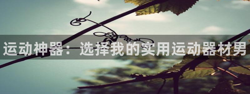 风速体育官网下载招商电话是多少号码