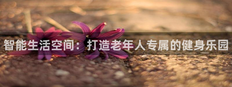 风速体育官方正版app娱乐首页官网下载：智能生活空间：打造老