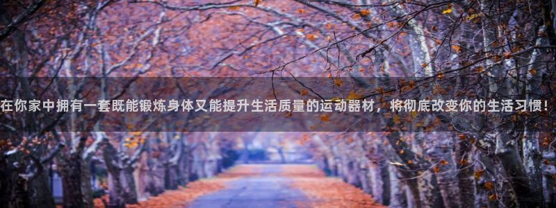 风速体育官网下载开户