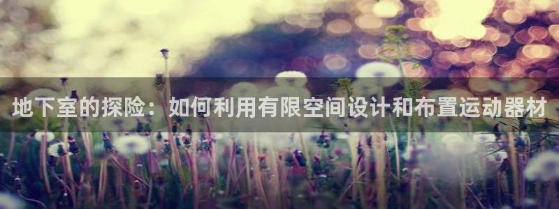 风速体育官方正版app娱乐网站