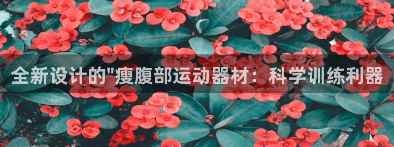 风速体育官方正版app集团简介：全新设计的\